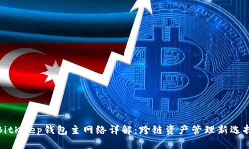 BitKeep钱包主网络详解：跨链资产管理新选择