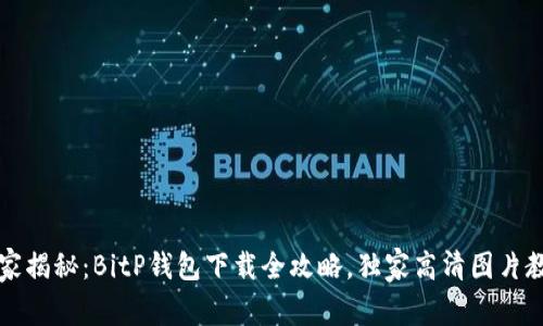 专家揭秘：BitP钱包下载全攻略，独家高清图片教程