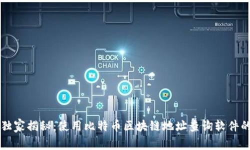 专家独家揭秘：使用比特币区块链地址查询软件的秘诀