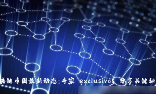 区块链币圈最新动态：专家 exclusivos 分享关键秘诀！