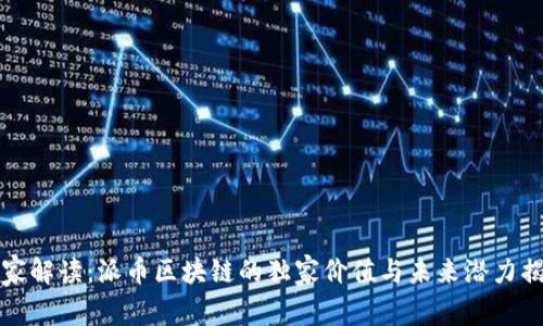 专家解读：派币区块链的独家价值与未来潜力揭秘