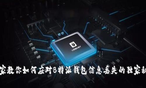 专家教你如何应对B特派钱包信息丢失的独家秘诀