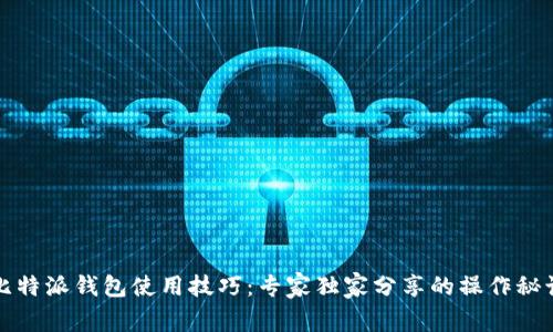 比特派钱包使用技巧：专家独家分享的操作秘诀