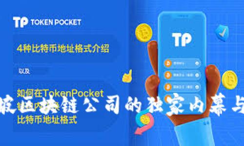 揭秘新加坡区块链公司的独家内幕与专家建议