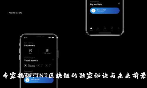 专家揭秘：TNT区块链的独家秘诀与未来前景