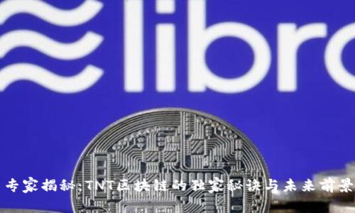 专家揭秘：TNT区块链的独家秘诀与未来前景