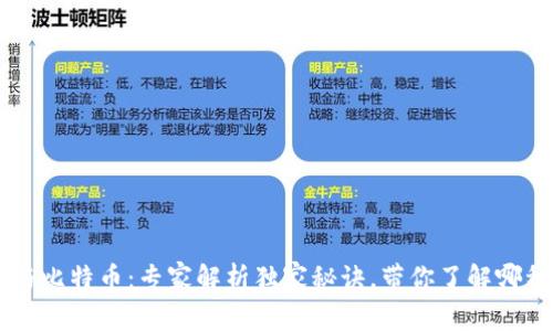 区块链与比特币：专家解析独家秘诀，带你了解哪种更好用
