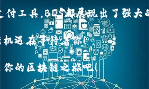 区块链BDS是什么币？专家独家揭秘！

区块链, BDS币, 数字货币/guanjianci

在近年来飞速发展的数字货币市场，有个叫BDS的币种逐渐进入了大家的视野。今天，我们就来好好聊聊这个相对小众但却颇具吸引力的币种。思考一下，如何选择一个适合自己的投资项目，特别是在万众瞩目的区块链领域呢？以下内容将从多个角度对BDS进行详细介绍，为大家解开这一谜团。

什么是BDS币？

在进入BDS币的核心内容之前，你可能会问，BDS到底是什么币？说简单点，BDS，即Blockchain Digital Service（区块链数字服务），是一种基于区块链技术发行的代币。它不仅仅是一种数字货币，更是构建在去中心化平台上的一系列服务的载体。

从本质上讲，BDS是想通过区块链技术改变传统金融和服务行业。区块链的去中心化特性让数据的安全性和可信度得以提升，这在未来的数字经济中显得尤为重要。BDS持有者可以利用这个代币进行交易、投票，或参与到平台的生态建设中。

BDS币的特点

每一种数字货币都有其独特之处，BDS也不例外。首先，BDS采用了先进的区块链技术，其交易过程透明且可追溯，用户无需担心信息的被篡改。同时，它的交易速度较快，能够满足大多数用户的需求。

其次，BDS币的智能合约功能使得用户在交易时可以设置特定的条件，这在很大程度上减少了不必要的纠纷，增强了用户体验。想象一下，今后你在进行某项投资时，如果实现的条件不满足，你的钱自动会被退回，这样的体验是不是很不错？

BDS币的应用场景

BDS币不仅仅是一个投资工具，它还有众多实际应用场景。首先，在电商领域，BDS可以用来作为支付手段。越来越多的电商平台开始接受比特币和其他数字货币作为支付方式，BDS无疑也是其中的佼佼者。

其次，在网贷平台，BDS也可以作为借贷的抵押物。这就意味着，用户可以用BDS资产换取现金，这对很多需要资金周转的用户来说，是个不错的选择。

此外，BDS还可以应用于线上投票、社区治理等领域，通过代币发放的方式激励用户参与，提高平台的活跃度。这种机制将会加速社区的发展，增强用户的归属感。

BDS的前景如何？

近年来，区块链技术不断被各大企业和行业吸纳，BDS作为其中的一员，其未来发展潜力不可小觑。根据一些业内人士的分析，BDS币将在未来几年迎来蓬勃发展，尤其是在企业逐渐认可并接受数字货币的背景下。

当然，投资数字货币有风险，大家在决定是否投资时一定要进行详细的市场调查。了解一些市场情绪、技术动态以及政策动向，这都是很有必要的。说真的，了解整体市场，做出明智决策，才是成功的关键。

如何购买BDS币？

对于许多人来说，购买BDS币可能会感到陌生。其实，它的购买流程和其他数字货币是类似的。首先，你需要在相应的数字钱包上注册账户，获取一个钱包地址。然后，可以通过交易所或者是P2P平台购买BDS。

一般情况下，主流的交易所会支持多种支付方式，包括银行卡、信用卡和其他数字货币。选择一个信誉良好的交易所，可以确保你的资金安全。

小结

BDS币作为区块链领域的一部分，其独特的技术背景和应用场景让它的潜力倍增。无论是作为一种投资方式，还是作为日常使用的支付工具，BDS都展现出了强大的生命力。在这个不断变化的市场中，跟随时代的潮流，了解并掌握新兴技术，将有助于你在未来取得更好的成果。

希望通过本篇文章，大家能够对BDS币有更深入的认识。如果你对数字货币感兴趣，别忘了时常关注行业动态，相信总会有新发现、新机遇在等待着你！

这样的日常口语化、情感化的交流方式，能够让读者在阅读中感受到真实的交流魅力，更容易让信息深入人心。快来认识BDS币，开启你的区块链之旅吧！