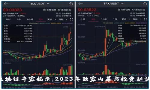 区块链专家揭示：2023年独家内幕与投资秘诀！