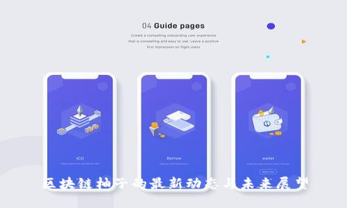 区块链柚子的最新动态与未来展望