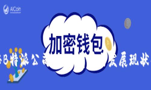 探秘B特派公司：行业前景与发展现状解析