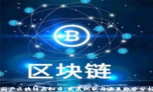 
国产区块链虚拟币：发展现状与未来趋势分析