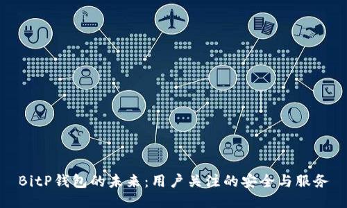 BitP钱包的未来：用户关注的安全与服务