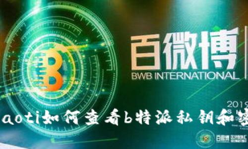 briaoti如何查看b特派私钥和密码