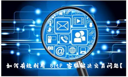 如何有效利用 BitP 客服解决交易问题？