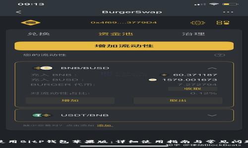 如何使用BitP钱包苹果版：详细使用指南与常见问题解答